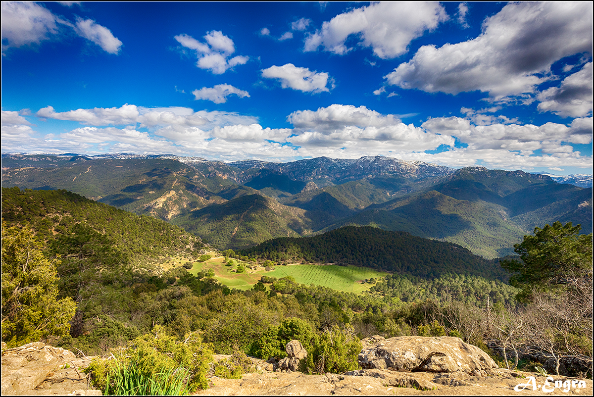 27.Hoya Miguel Barba