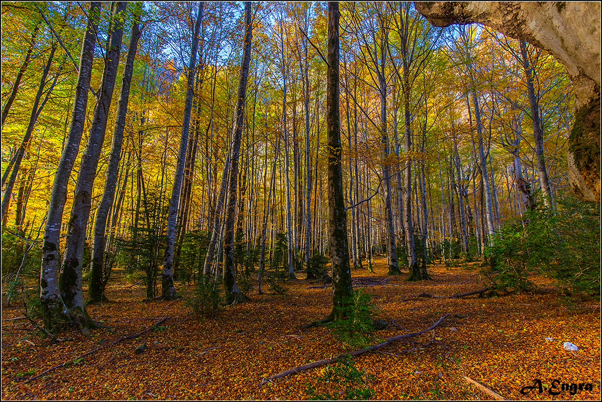 4.Otoño. Ordesa