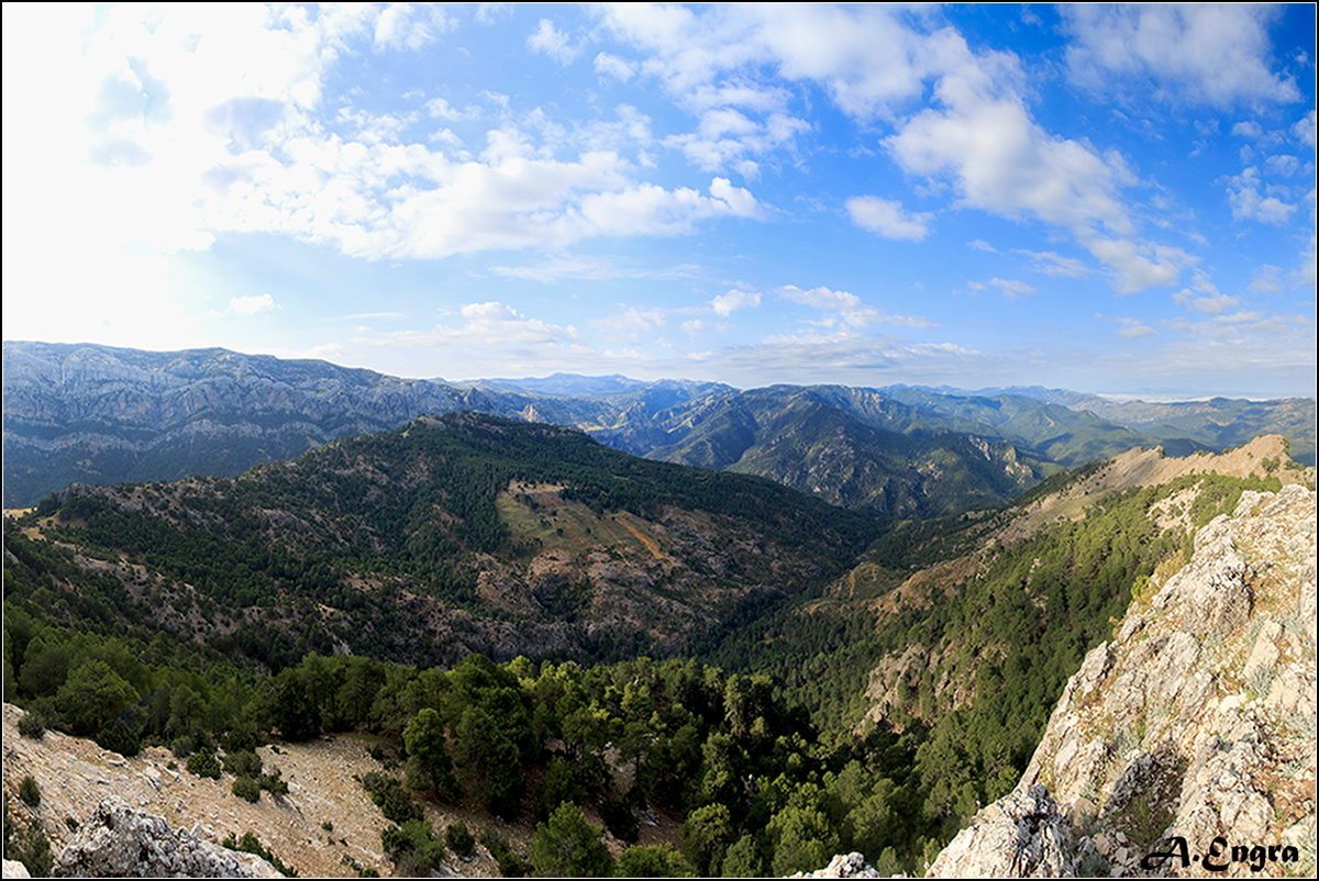 55.Calarejo. Los Villares