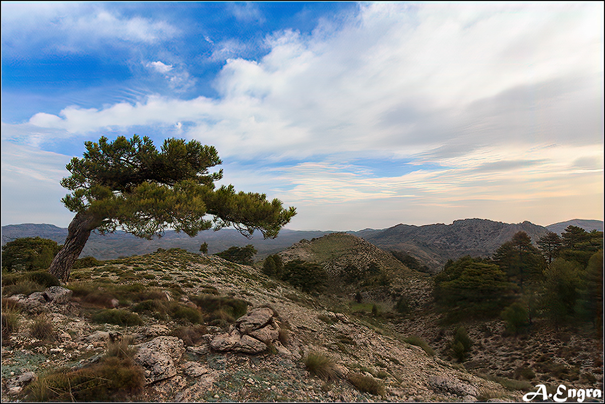 60.Altos de la Cabrilla