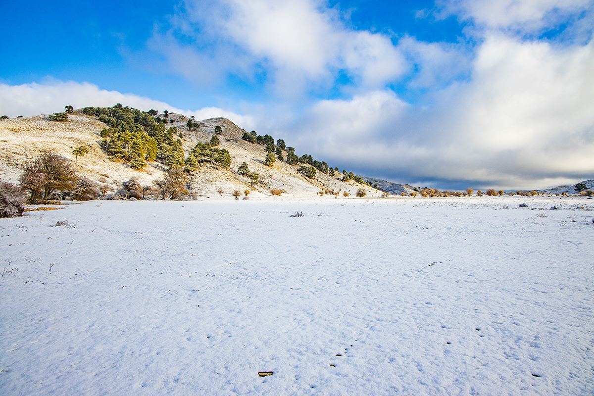 61.Campos.Rambla Seca