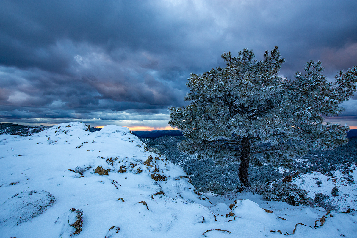 67.Altos de Pontones