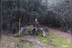 Tocona-pino-el-Abuelo-y-JR