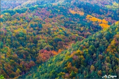 5.Pardina-del-Senor-1