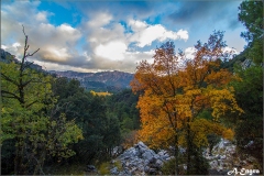 57.Nava-de-San-Pedro-1