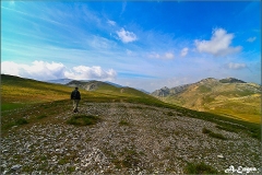 6.Los-Campos-de-Hernan-Perea-1