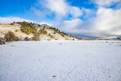 61.Campos.Rambla-Seca-1