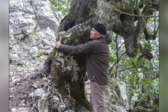 Acebos-Calar-de-Juana