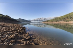 Pantano-desde-El-Madronal