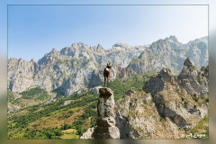 Picos-de-Europa.2