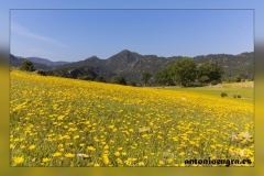 Sierra-de-Las-Villas